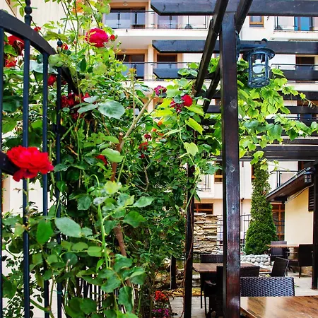 Tsb Roxy サニービーチ