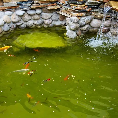 Tsb Roxy Отель Солнечный берег